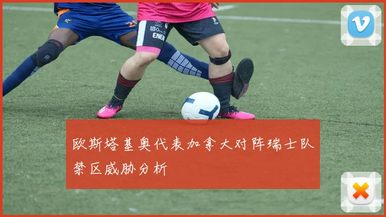欧斯塔基奥代表加拿大对阵瑞士队禁区威胁分析