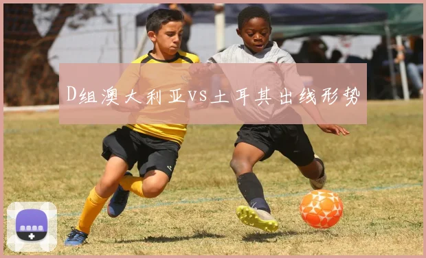 D组澳大利亚vs土耳其出线形势