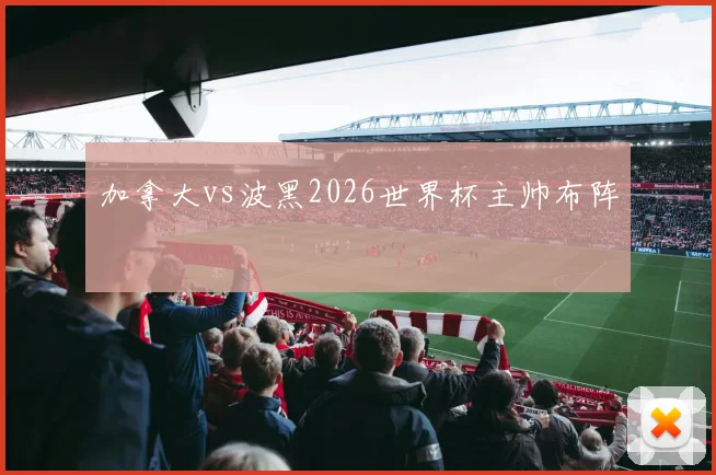 加拿大vs波黑2026世界杯主帅布阵